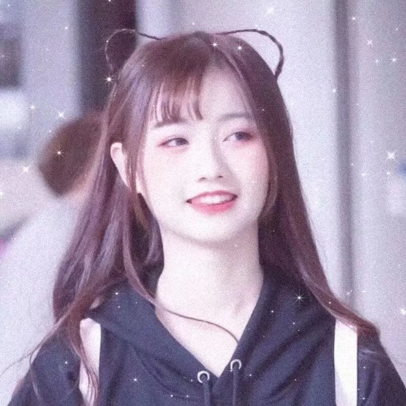 我的家人和其他动物